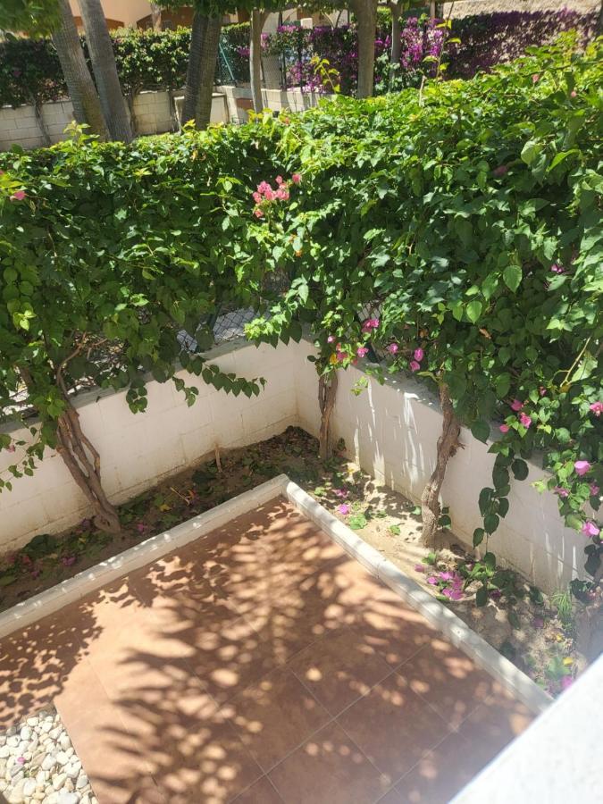 ¡Bajo Precioso Con Salida Directa A La Piscina Comunitaria En Paraiso De Vera! المظهر الخارجي الصورة