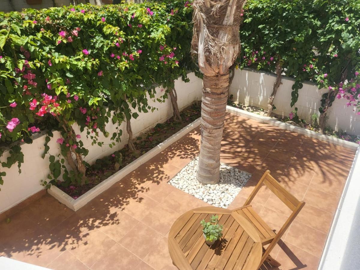 ¡Bajo Precioso Con Salida Directa A La Piscina Comunitaria En Paraiso De Vera! المظهر الخارجي الصورة