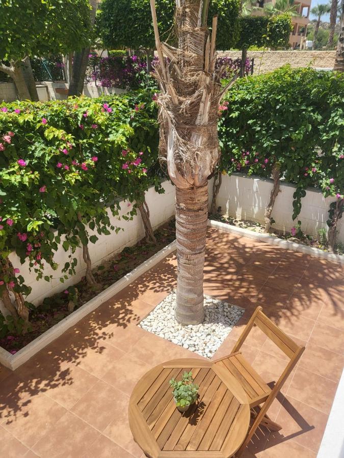¡Bajo Precioso Con Salida Directa A La Piscina Comunitaria En Paraiso De Vera! المظهر الخارجي الصورة