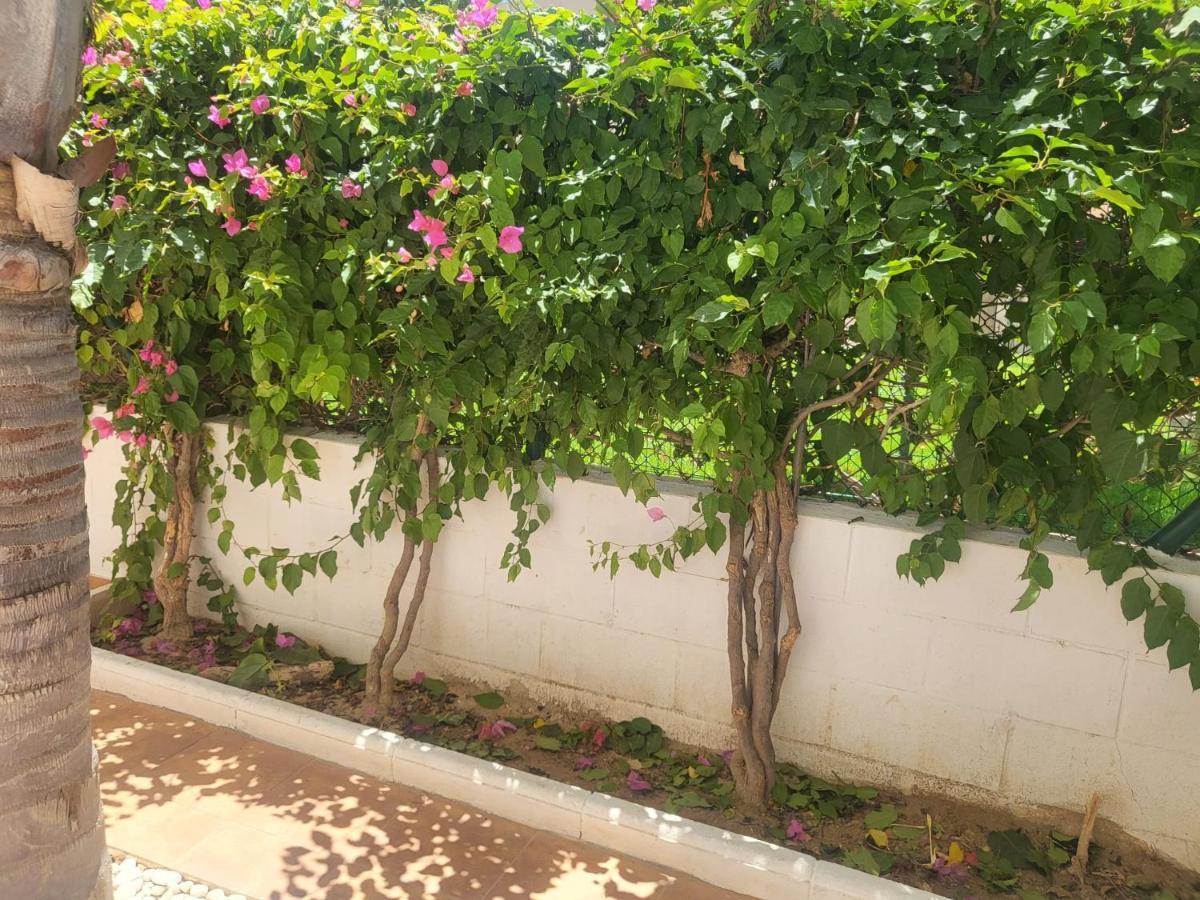 ¡Bajo Precioso Con Salida Directa A La Piscina Comunitaria En Paraiso De Vera! المظهر الخارجي الصورة